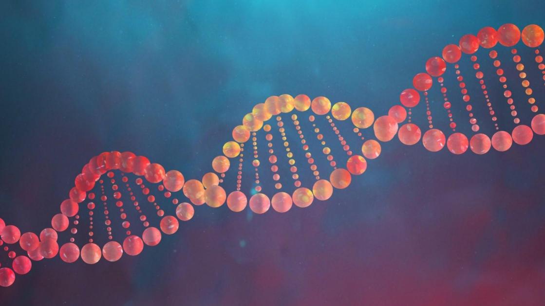 DNA Kesme Ultrasonik Sistemi