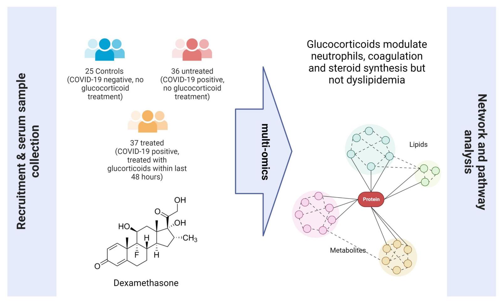 Laboratuar için Yüksek Performanslı Ultrasonikatör