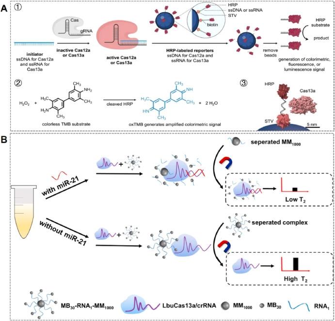 Manyetik Ayırma Sistemi