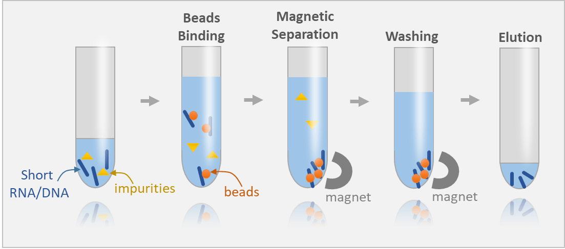 RNA İzolasyonu için Manyetik Rack