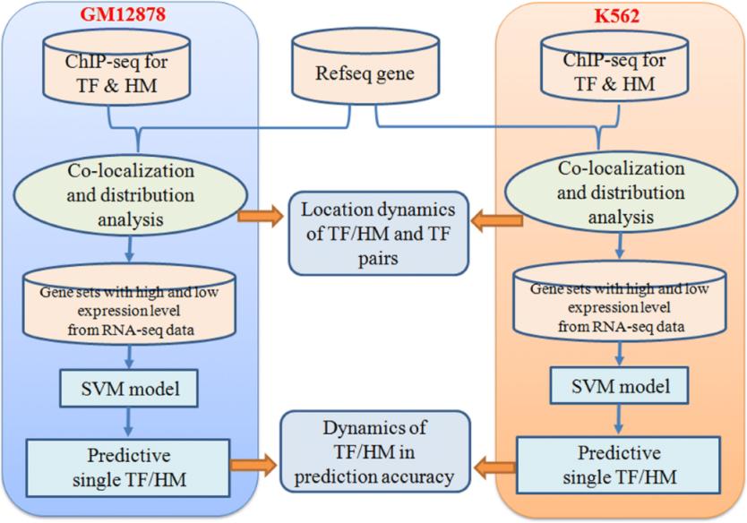 Çip Dizileme Hizmetleri