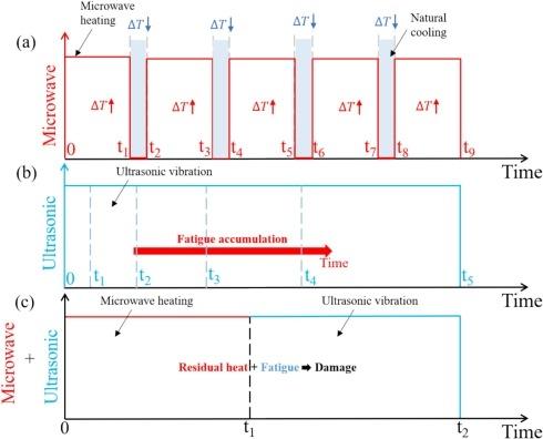 Odaklı Ultrasonik Hücre Bozucu