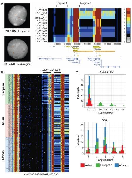 DNA Ekstraksiyonu için Ultrasonikator