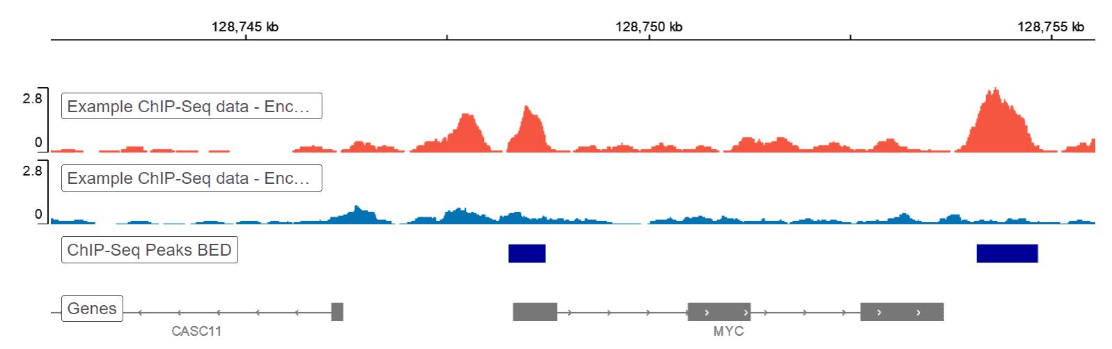 ChIP-Seq Veri Analizi Boru Hattı