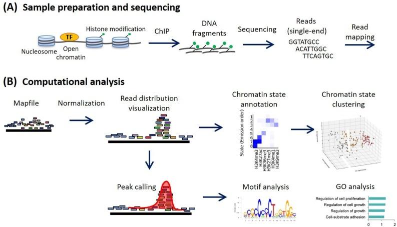 ChIP-Seq Sorun Giderme