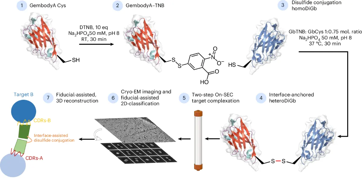 Yüksek Çözünürlüklü Cryo-EM