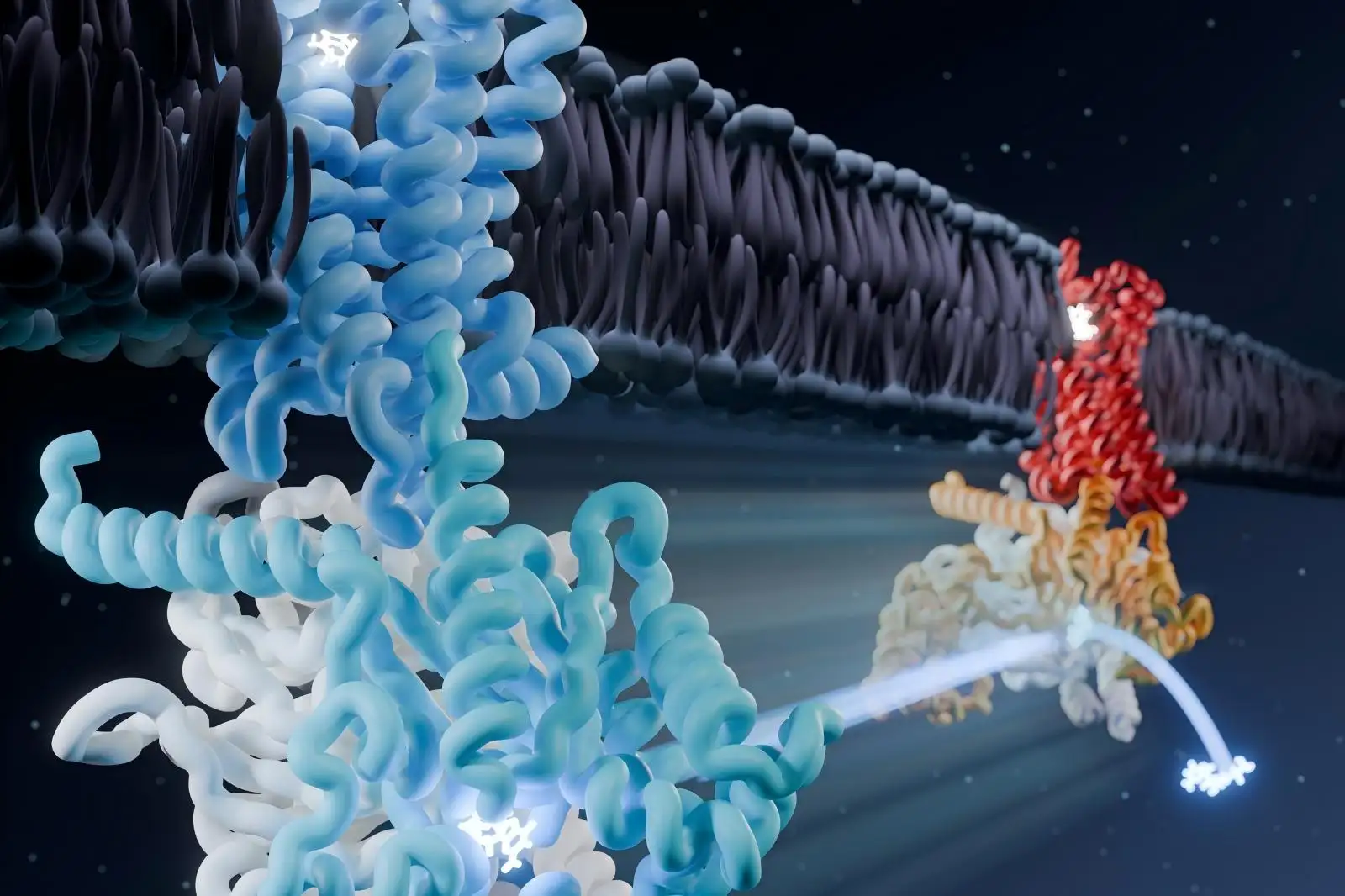 Laboratuvar Ultrasonik Ses Enerjisi Cihazı Jel elektroforez için süper hızlı prekast jel Manyetik hücre ayırma cihazı DNA parçalanması DNA elektroforezi moleküler biyoloji için manyetik ayırma RNA jel görüntüleme platformu Manyetik hücre ayırma cihazı GPCR membran protein ifadesi ve arındırma Nükleik Asit Temizleyici